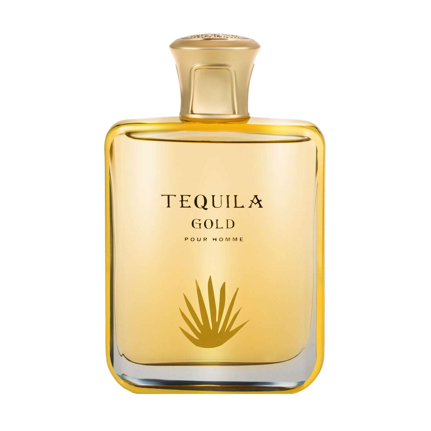 Bharara Tequila Gold Парфумована вода чоловіча, 100 мл
